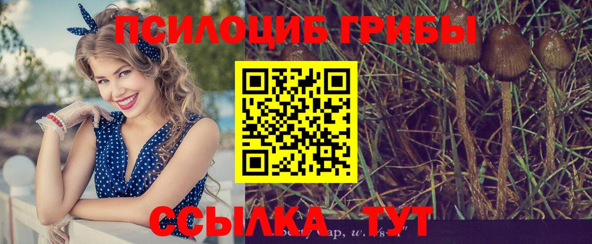 Псилоцибиновые грибы Magic Shrooms  Вход с VPN  Зерноград 